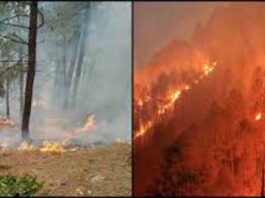 Uttarakhand Forest Fire