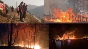 Uttarakhand Jungle Fire