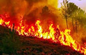 Uttarakhand Forest Fire