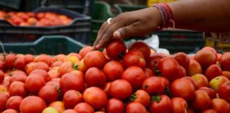 Tomato Price Hike