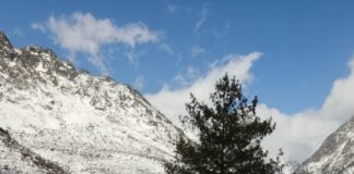 snowfall