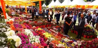 Vasantotsav